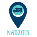 نبضگیر