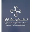 نقشه‌نگاران