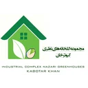 هلدینگ نظری