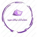 حسابداران نیکان سپید