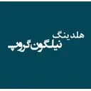 هلدینگ نیلگون گروپ