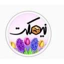 نبیان پژوهان جوان نیمکت