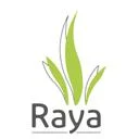نوآوران رایا طرح