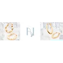 نورآی گالری