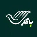 پلتفرم پاکار