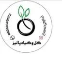 گل و گیاه پالیز