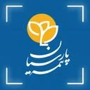 بیمه پارسیان 501550