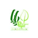 پایا