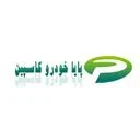 پایا خودرو کاسپین