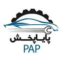 پایا پخش
