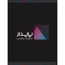 پایدار نور