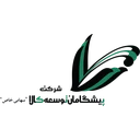 پیشگامان توسعه کالا
