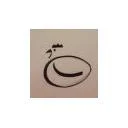 پیشرو اندیشه رایکا