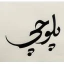کترینگ پلوچی