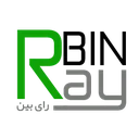 رای بین