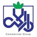 توسعه و تجارت رایکا ایساتیس