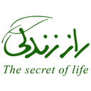 راززندگی