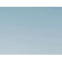 روشا سلامت ثمین