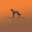 سالوکی
