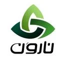 مهندسی سامانه های الکترونیکی ناروَن