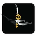 سایه ها
