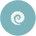 سپنج وب