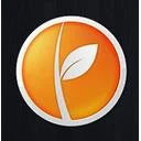 استودیو سپینود