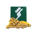 شایان کاو
