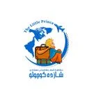 موسسه مهاجرتی شازده کوچولو