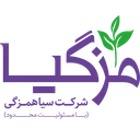 چای سیاهمزگی