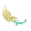 طیاره