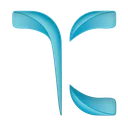 تی کورکس