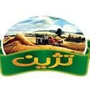 تژین