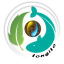 تنگیتو