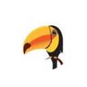 توکاسافت