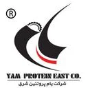 یام پروتئین شرق