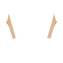 دانشگاه زاگرس پوش
