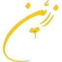 نرم افزاری پخش مویرگی زرین