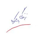 زندگی با شکوه